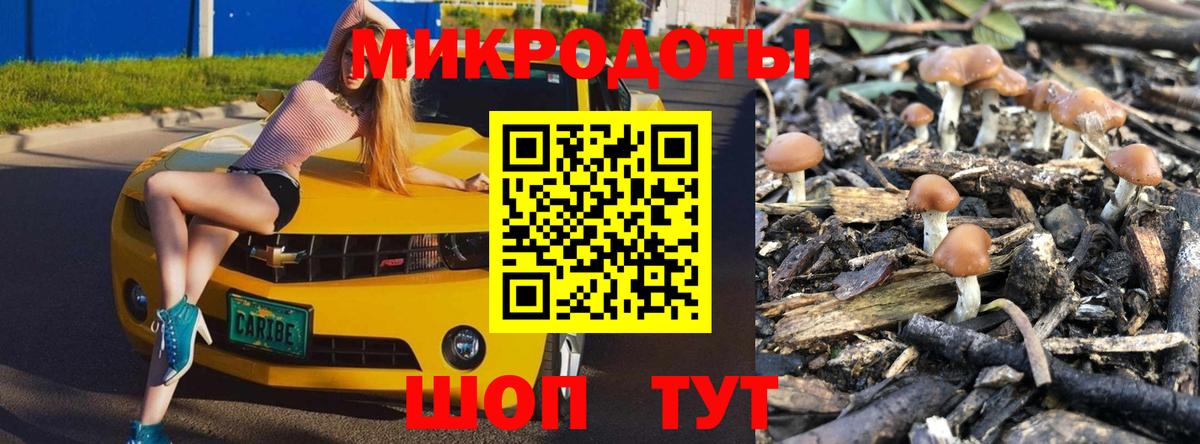 Галлюциногенные грибы Magic Shrooms  Вход с VPN  купить наркоту  Краснодар 